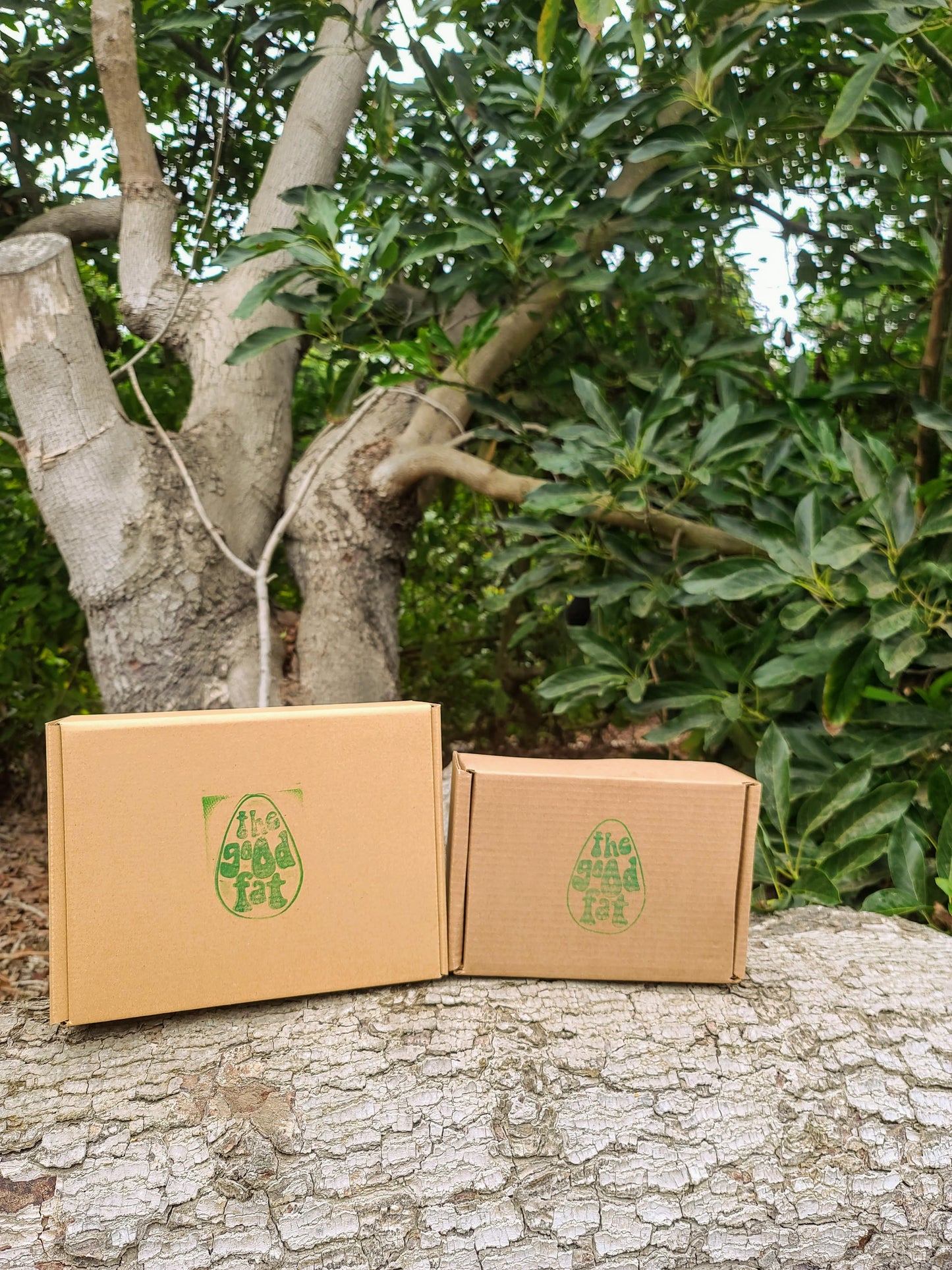 LARGE BOX of avocados  (LOCAL PICK-UP ONLY)