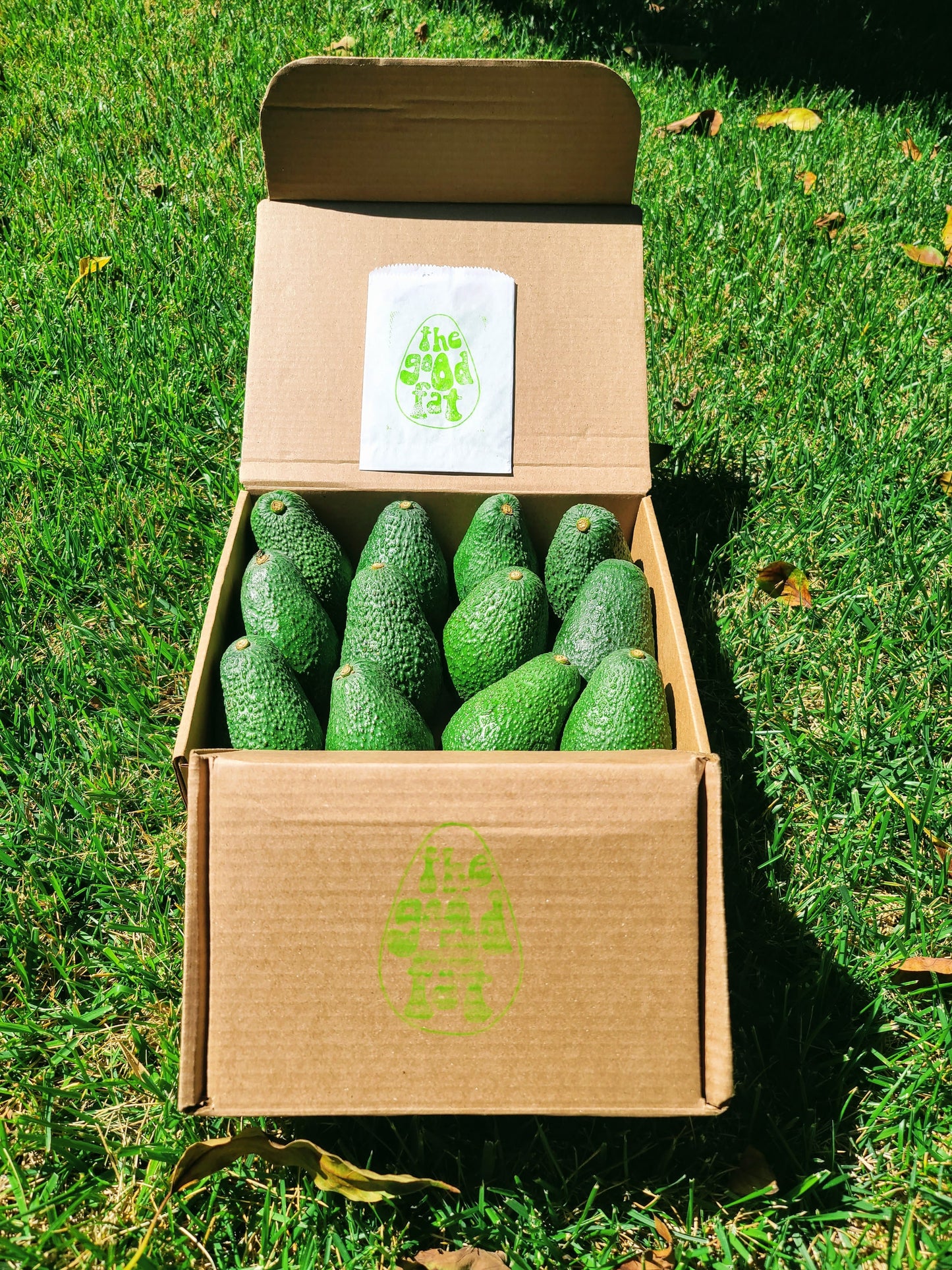 Large Avocado Box Subscription options