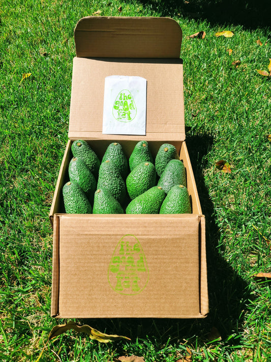 Large Avocado Box Subscription options