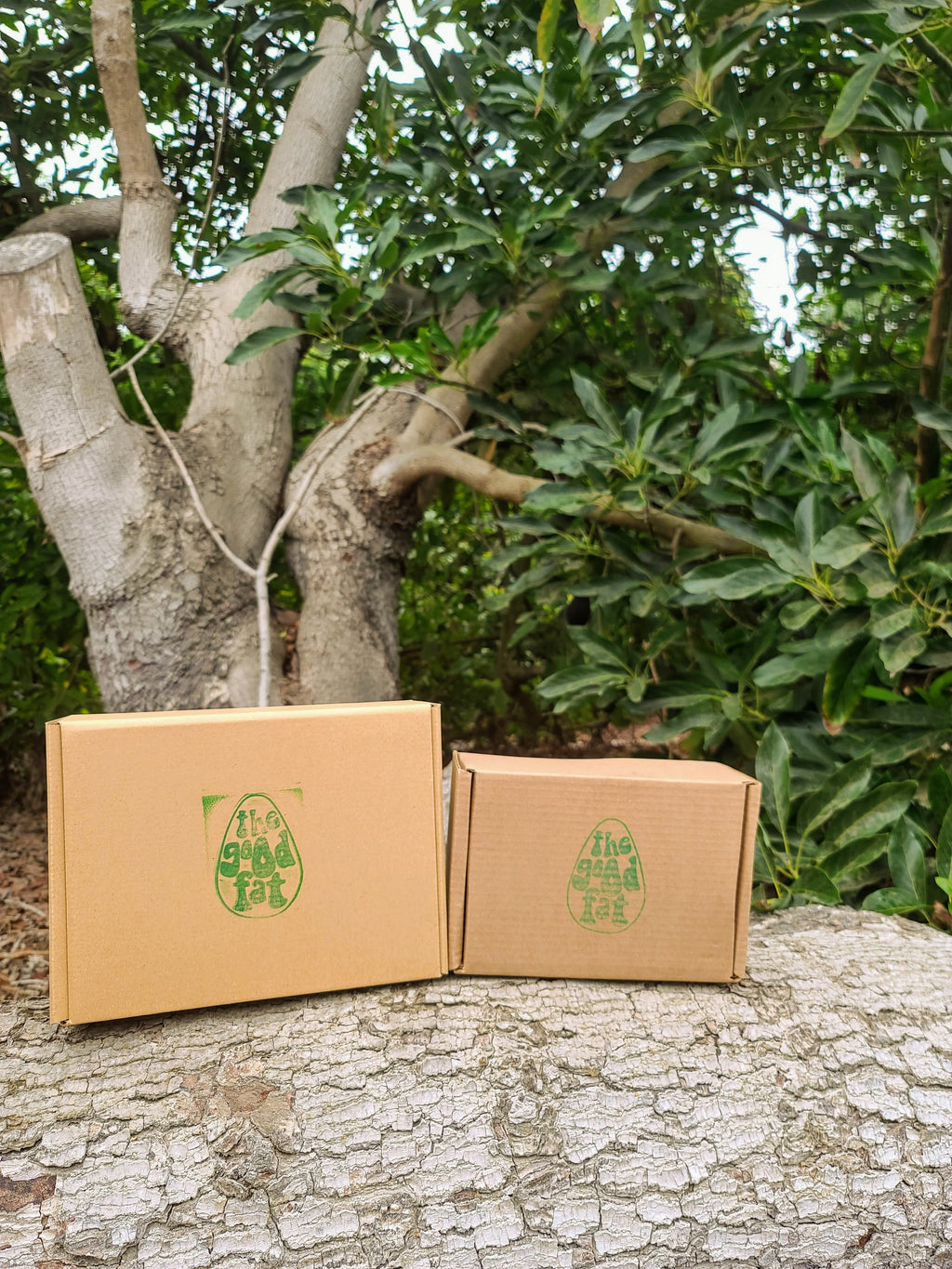 LARGE BOX of avocados  (LOCAL PICK-UP ONLY)