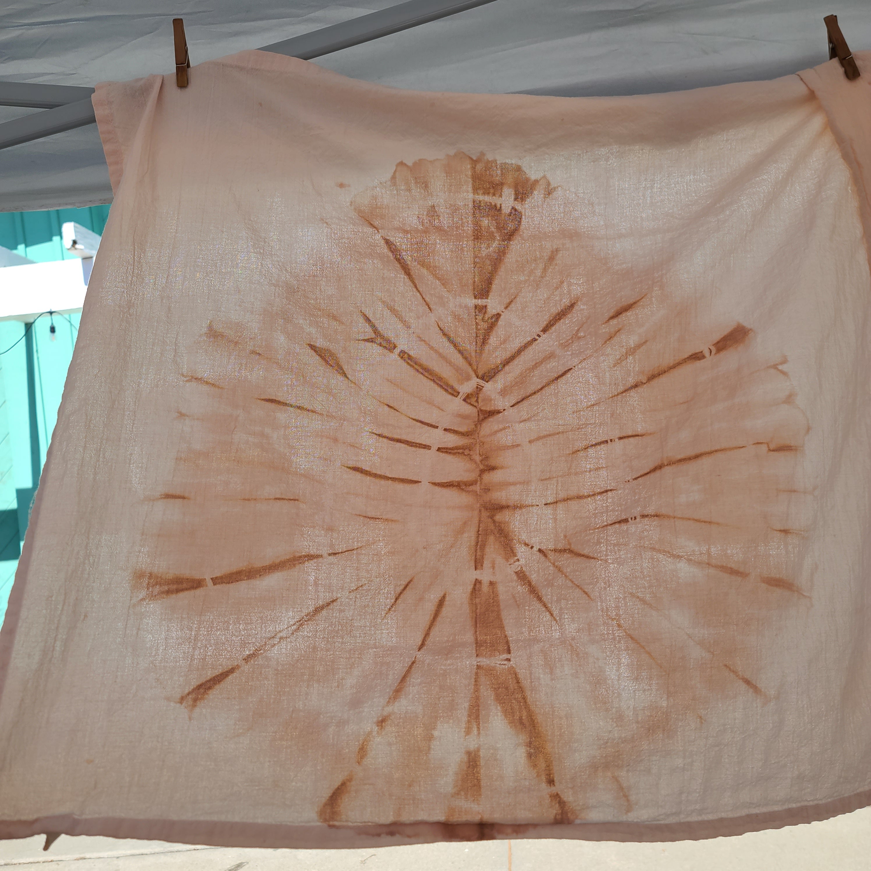 Avocado Pit Dyed Tea Towels- Pack of 2
