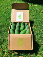 Large Avocado Box Subscription options