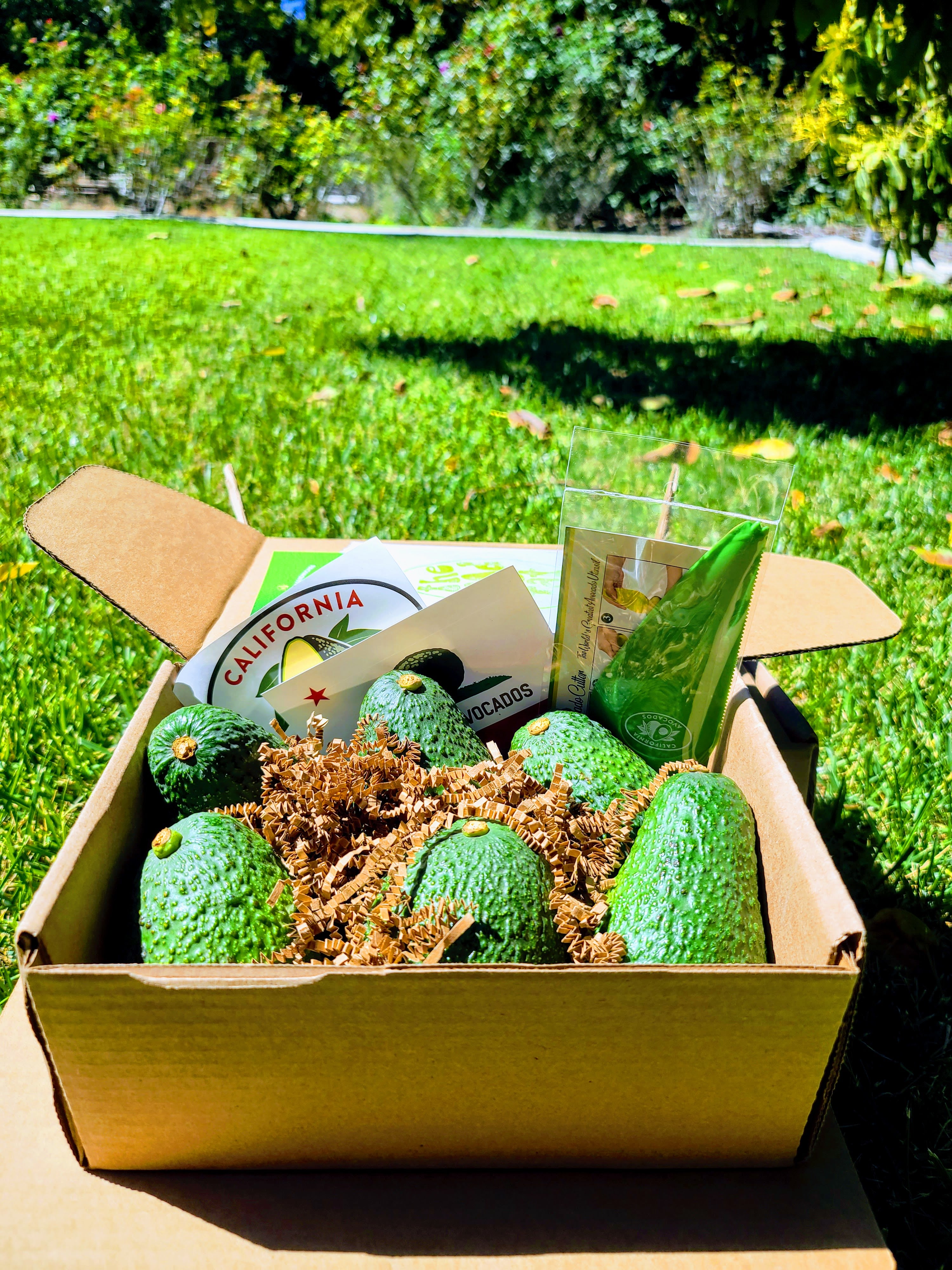 SMALL BOX of avocados  (LOCAL PICK-UP ONLY)