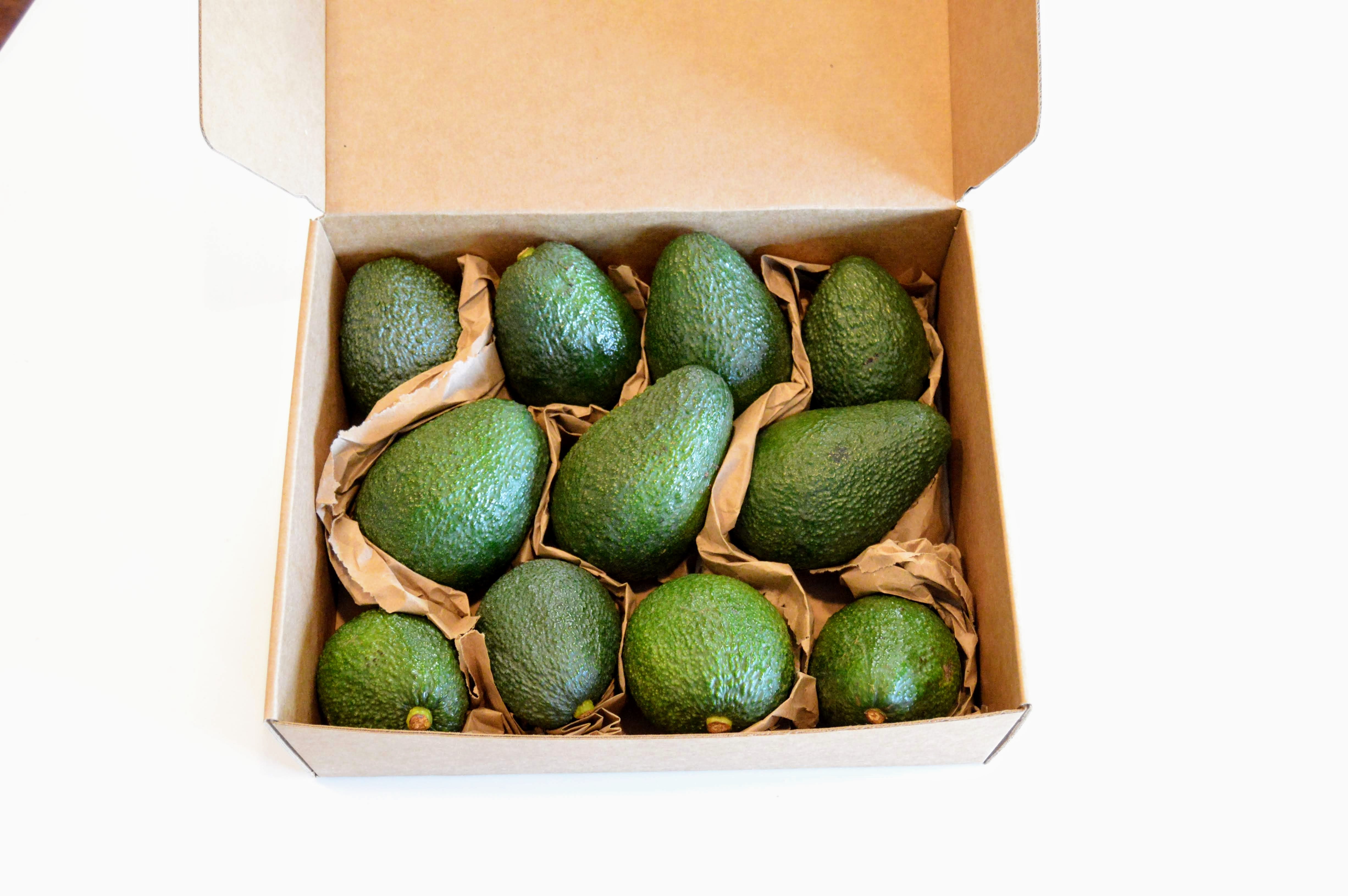 Avocado In Box Large Avocado Box- Single order – The Good Fat