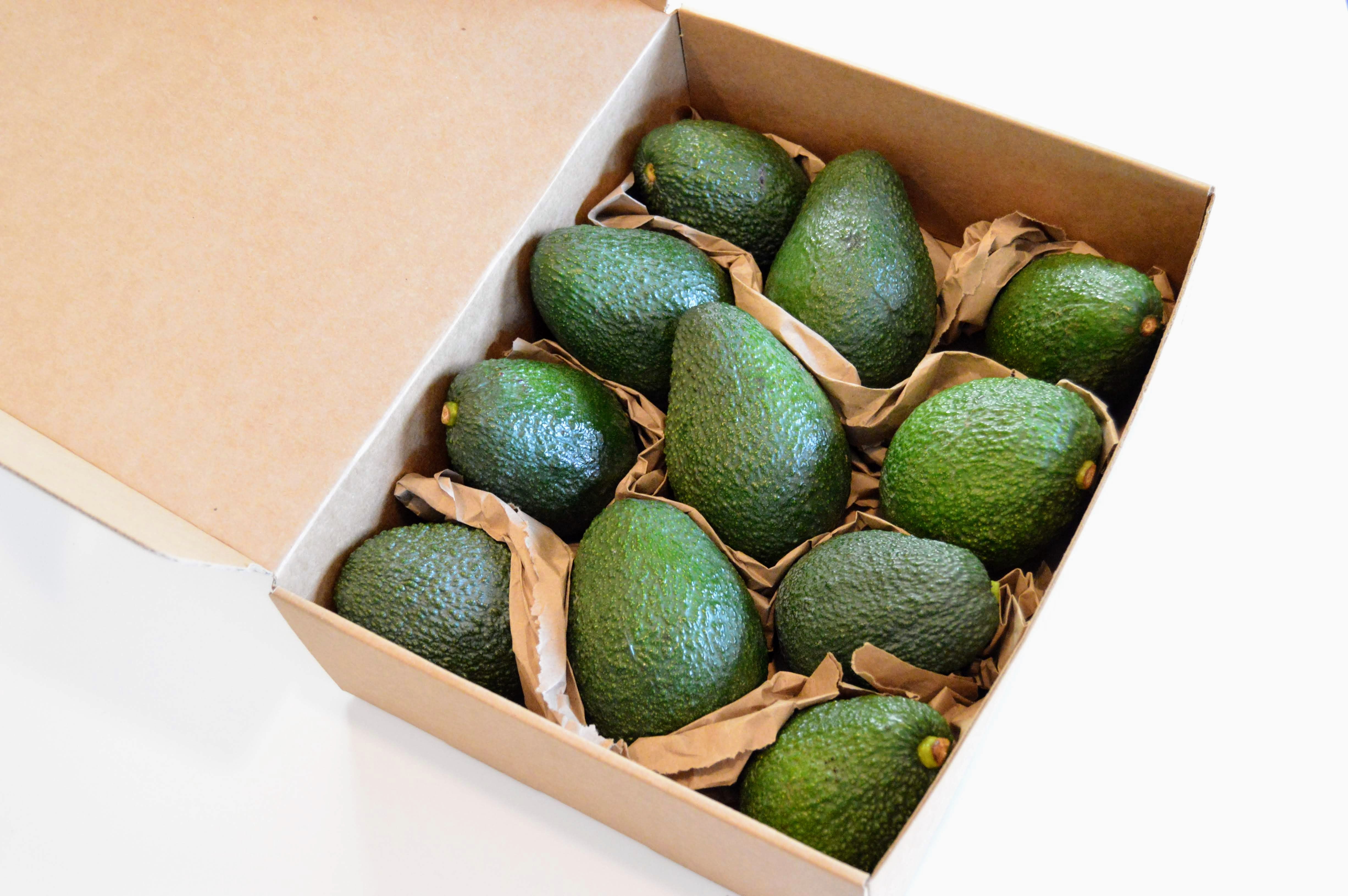 Avocado In Box Small Avocado Box- Monthly Subscription – The Good Fat