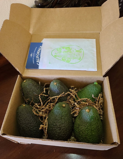 Small Avocado Box