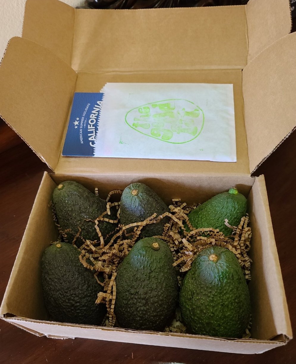 Small Avocado Box- BiMonthly Subscription